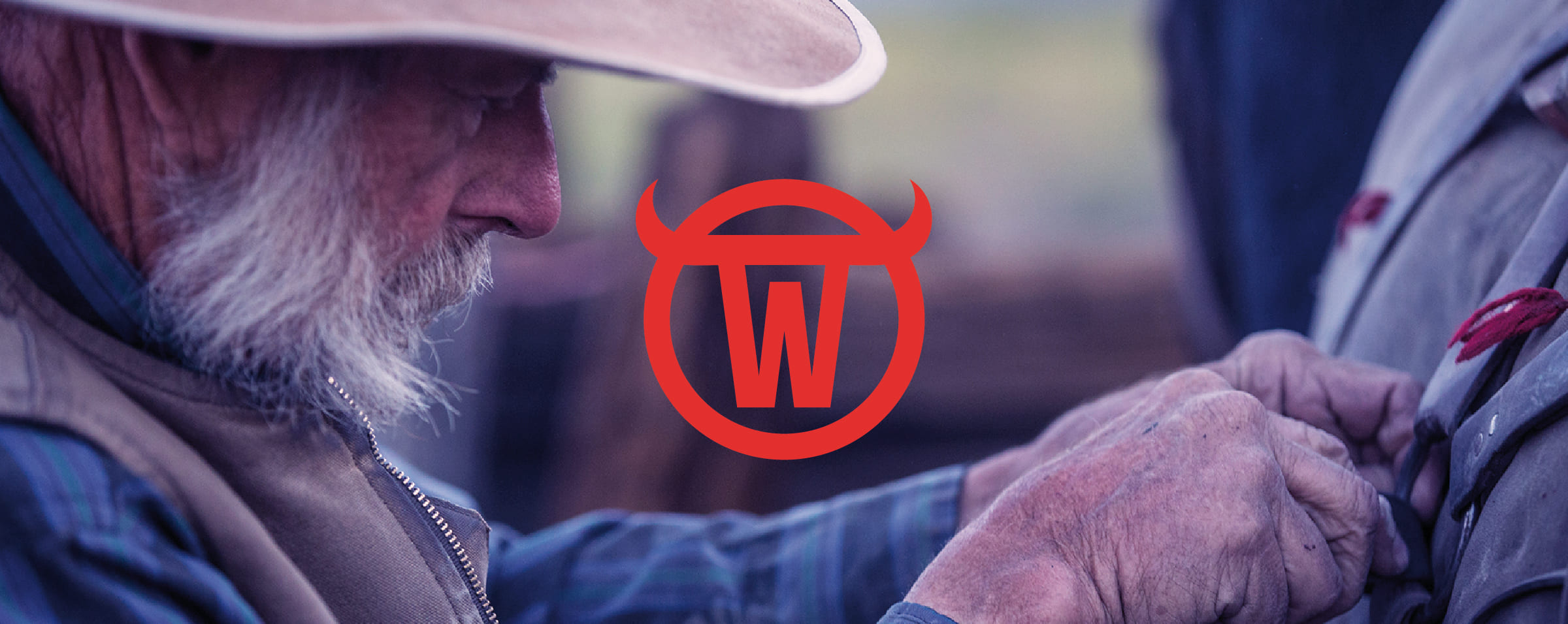 Pictogramme Gowest.fr